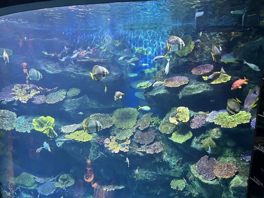 Indoor Things to Do in Bangkok: Museums, the Aquarium and Art for Heat and Rain