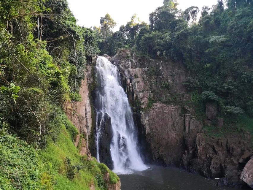 Khao Yai and Elephant Sanctuary Day Trips from Bangkok: Distances, Fees and Ethics