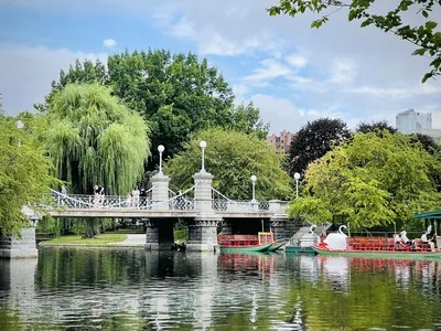The Public Garden