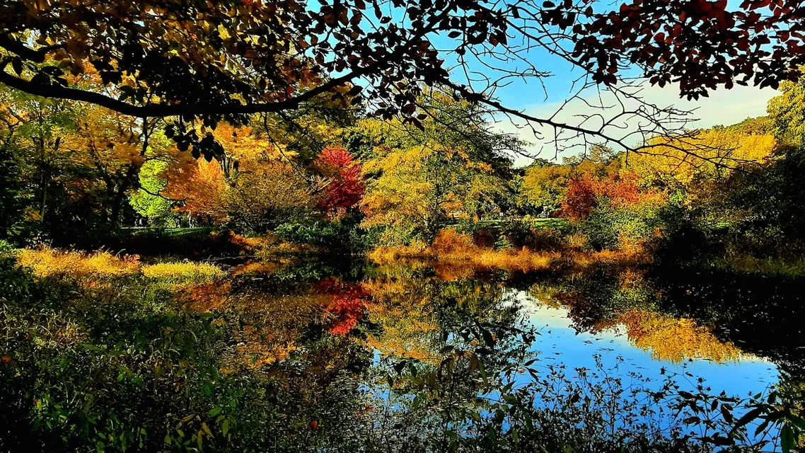 Things to Do in Boston in October: Regatta, Foliage and Last Boats