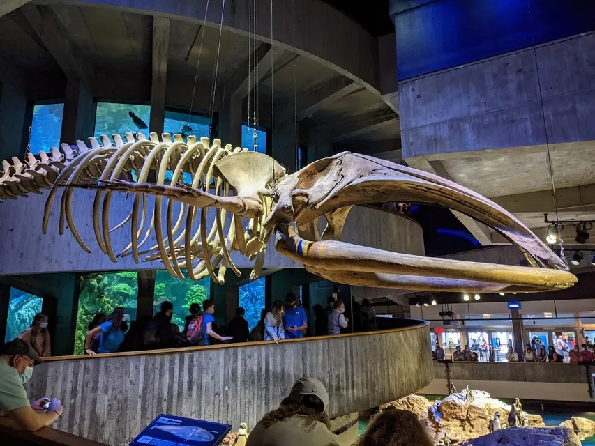 Things to Do in Boston This Weekend With Family: A Two-Day Plan