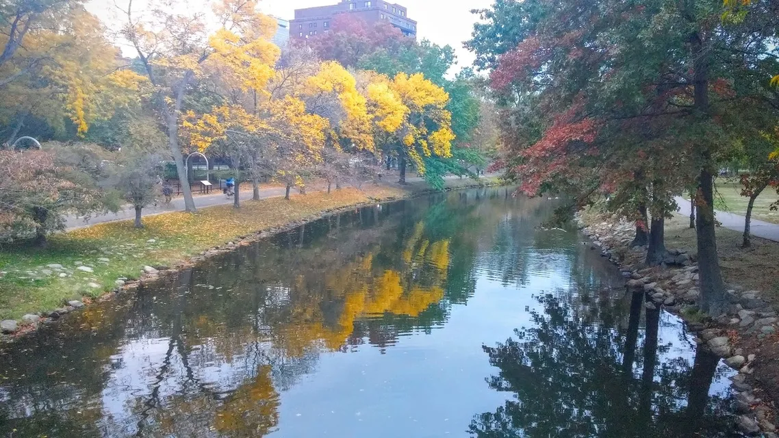 Things to Do in Boston in November: Events, Weather and Ideas