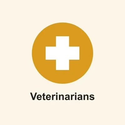 Jacksonville Veterinary Surgery & Orthopedics